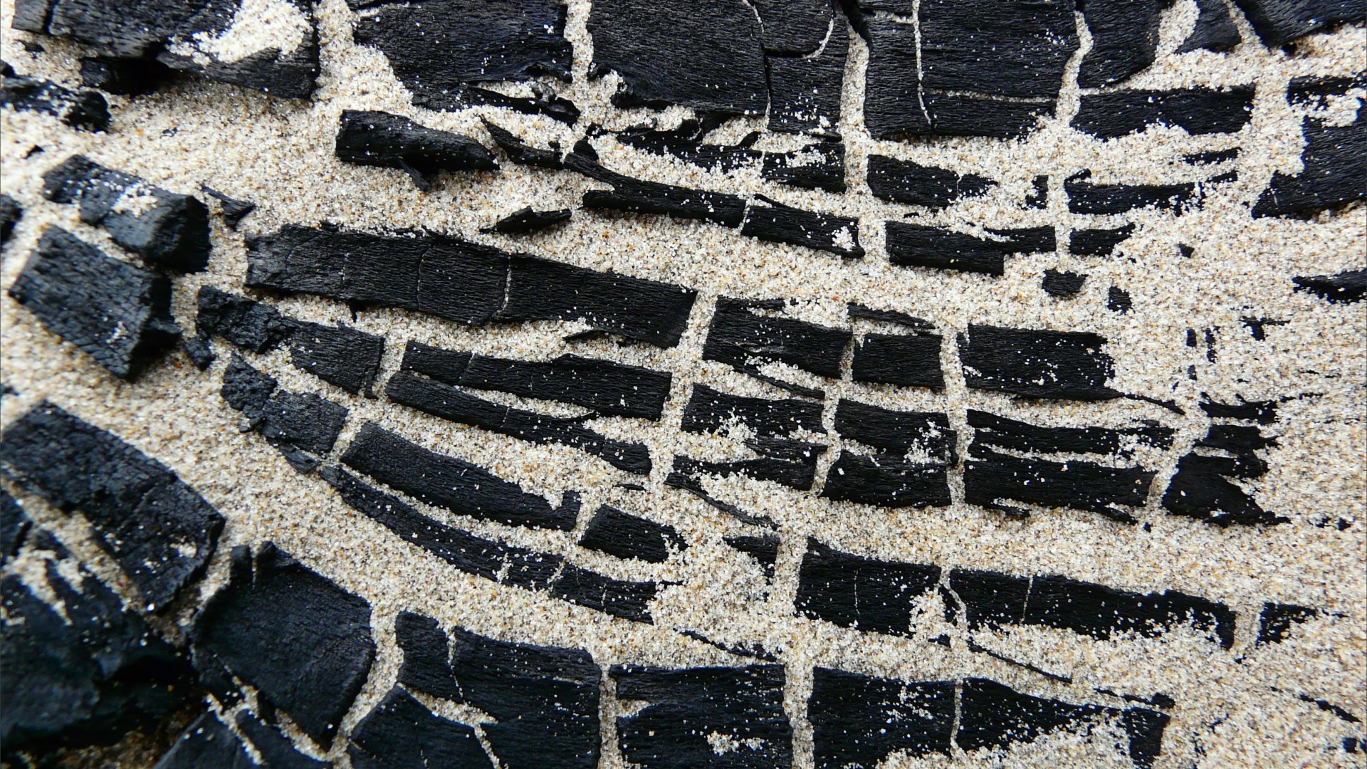 Close-up detail of burnt driftwood on a sandy beach