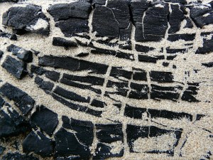 Close-up detail of burnt driftwood on a sandy beach