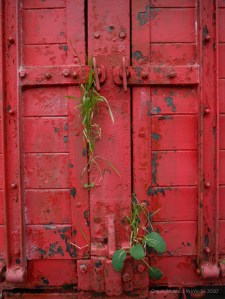 Flaking red paint on a piece of wooden agricultural equipment