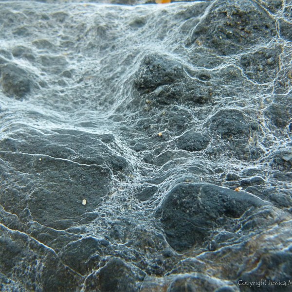 Rock pattern and texture at Trinity Beach