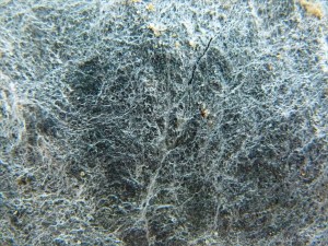 Rock pattern and texture at Trinity Beach