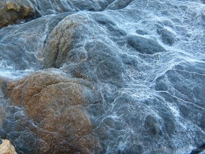 Rock pattern and texture at Trinity Beach