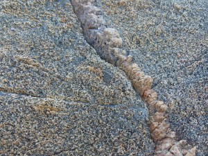 Rock pattern and texture at Trinity Beach