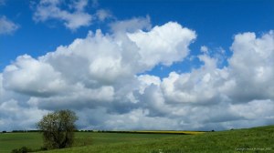 Green fields and big skies around Charlton Down in Spring