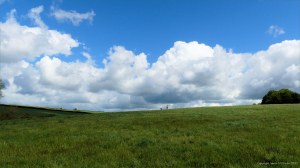 Green fields and big skies around Charlton Down in Spring