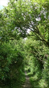 Daplled pattern of shade along a country footpath