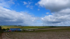 Country view at Charlton Down