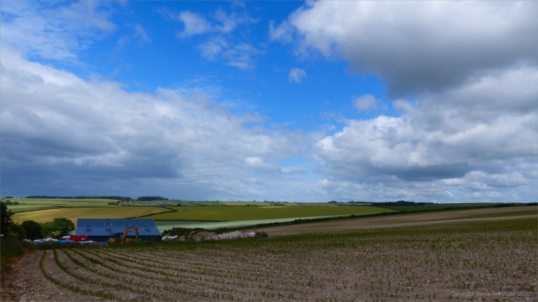 Country view at Charlton Down