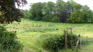 Footpath to Charminster from Charlton Down