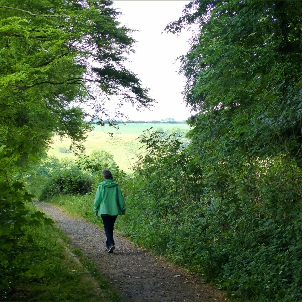 View from a walk around a Dorset country village in June