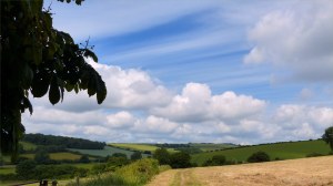 View from a walk around a Dorset country village in June