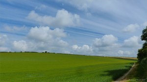 View from a walk around a Dorset country village in June