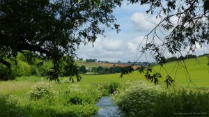 View along the River Cerne near Charlton Down
