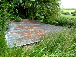 Sheet of corrugated iron from a collapsed roof of a farm outbuilding in the fields
