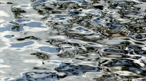 Reflections on river water