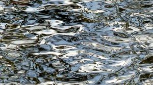 Reflections on river water