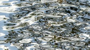 Reflections on river water