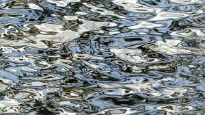 Reflections on river water