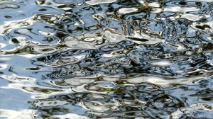 Reflections on river water