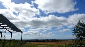 Dorset countryside scenes in summer