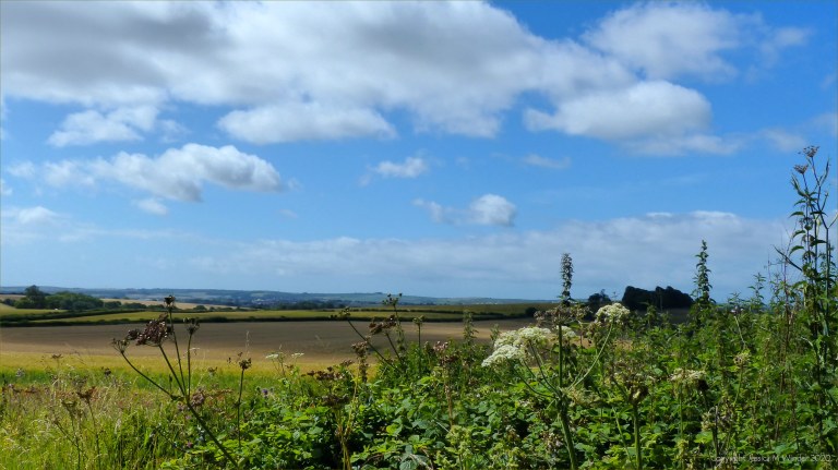 Dorset countryside scenes in summer