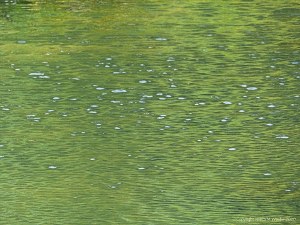 Abstract water pattern of reflection and texture on a lake