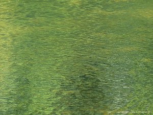 Abstract water pattern of reflection and texture on a lake