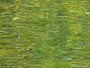 Abstract water pattern of reflection and texture on a lake