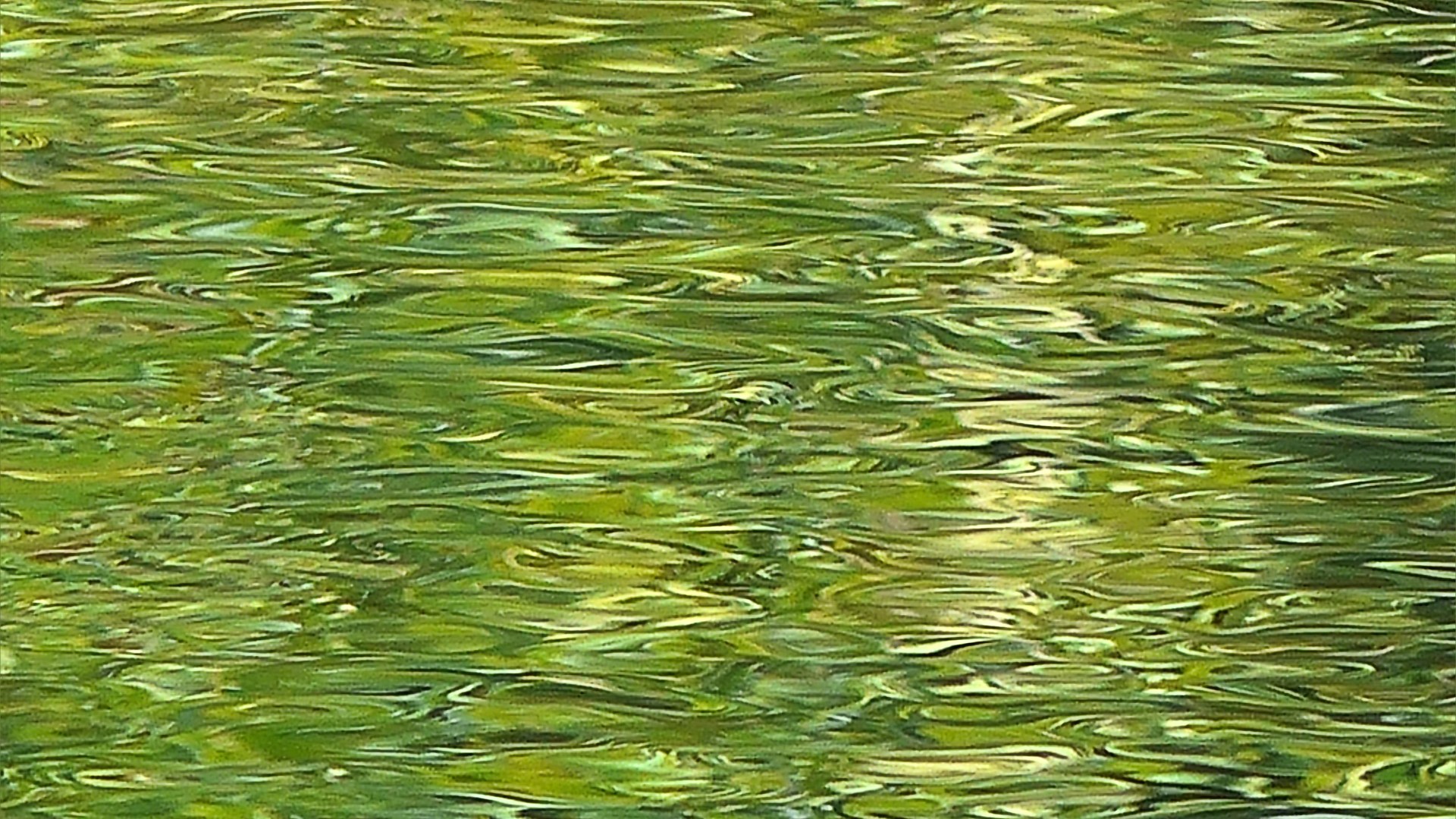 Abstract water pattern of reflection and texture on a lake