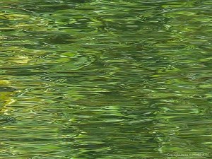 Abstract water pattern of reflection and texture on a lake