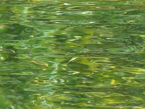 Abstract water pattern of reflection and texture on a lake