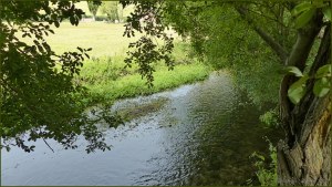 River Cerne between Charlton Down and Charminster in Dorset