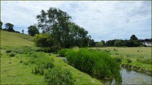 River Cerne between Charlton Down and Charminster in Dorset
