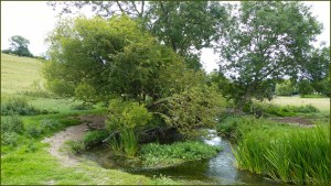 River Cerne between Charlton Down and Charminster in Dorset