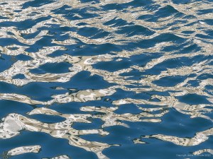 Reflections on harbourside waves