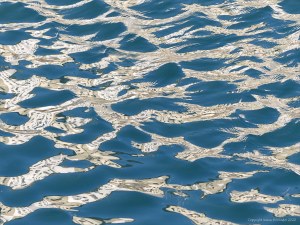 Reflections on harbourside waves