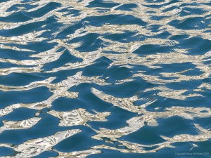 Reflections on harbourside waves