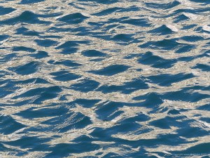 Reflections on harbourside waves