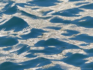 Reflections on harbourside waves