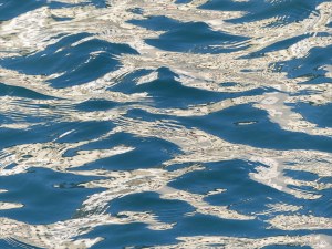 Reflections on harbourside waves