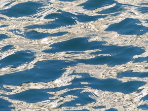 Reflections on harbourside waves
