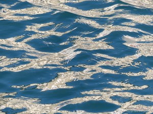 Reflections on harbourside waves