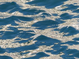 Reflections on harbourside waves