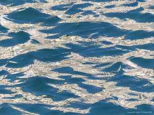 Reflections on harbourside waves