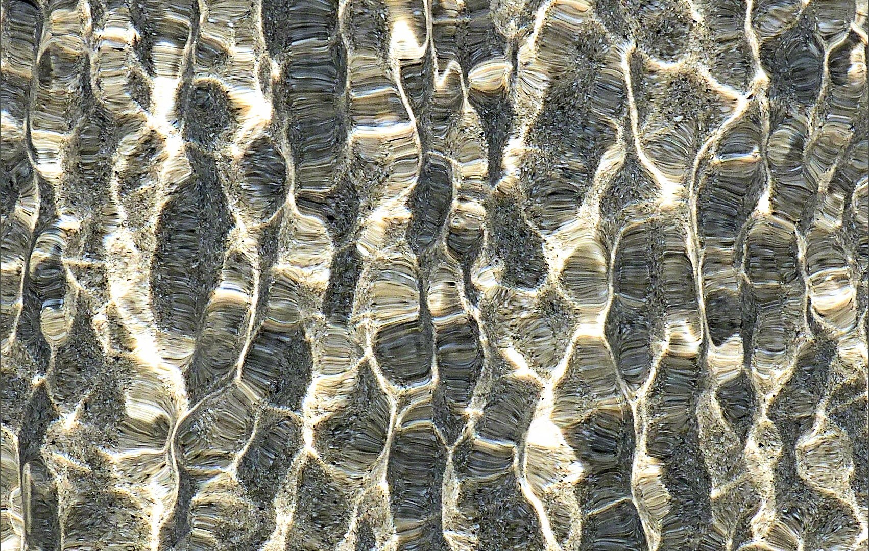 Refracted light on shallow tide pool rippled water