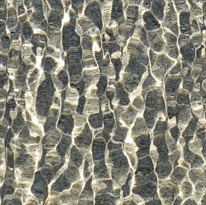 Refracted light on shallow tide pool rippled water
