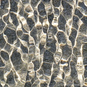 Refracted light on shallow tide pool rippled water