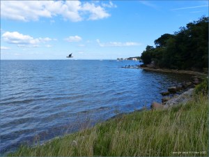 Patterns on sea water at Studland Bay - context shot