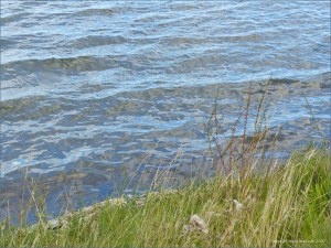 Patterns on sea water at Studland Bay