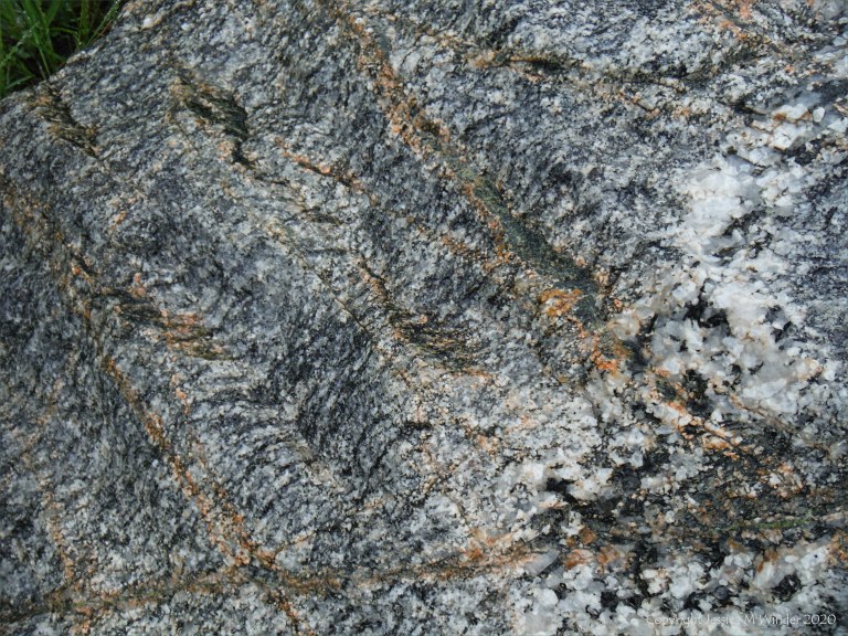 Close up photograph of metamorphic rock